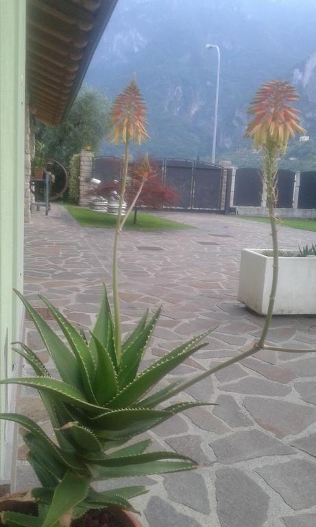 Apartment Casavarone Riva del Garda